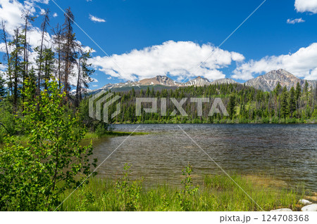 Summer scenic view of Cabin Lake, Jasper National Park, Alberta, Canada. 124708368