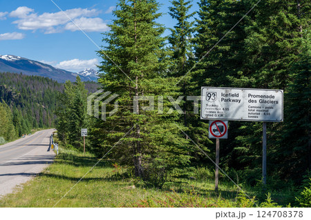 Jasper, Alberta, Canada. Icefields Parkway (Alberta Highway 93), Jasper National Park Scenic Drive. Canadian Rockies summer landscape in the background. Jasper, Alberta, Canada. Icefields Parkway (Alberta Highway 93), Jasper National Park Scenic Drive. Canadian Rockies summer landscape in the background. 124708378