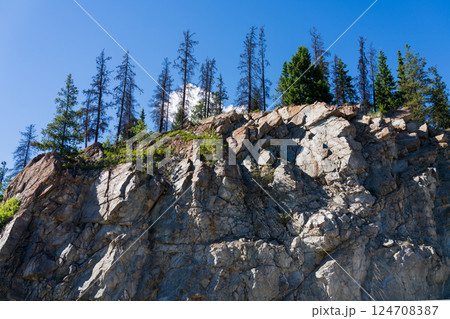 Rocky Cliffs and Lush Pine Forests in Canadian Rockies. Jasper National Park, Alberta, Canada. Rocky Cliffs and Lush Pine Forests in Canadian Rockies. Jasper National Park, Alberta, Canada. 124708387