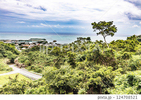 曇り空の沖縄 124708521