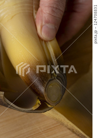 茹でた筍を刺身にする 124708831