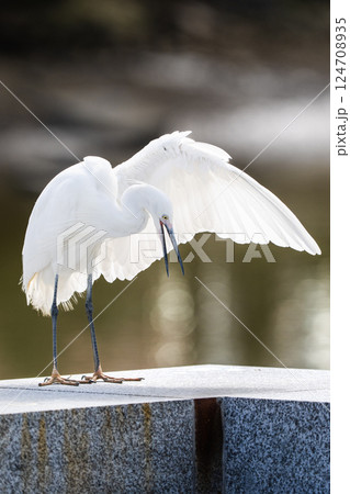 台北 台北市 タイペイ 124708935