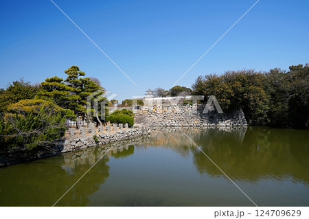 兵庫 明石 中堀から見た明石城（坤櫓）（晩春） 124709629