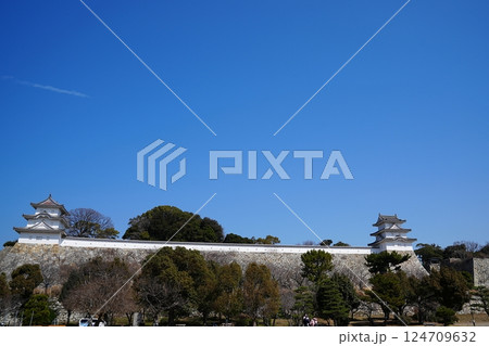 兵庫 明石 武蔵の庭園から見た明石城の本丸（坤櫓・巽櫓）（晩春） 124709632