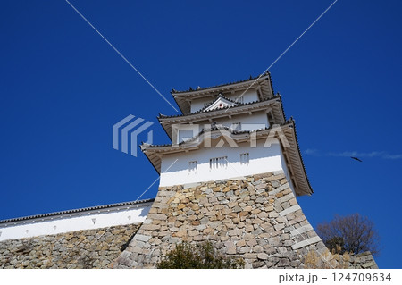 兵庫 明石 明石城の本丸の巽櫓（晩春） 124709634