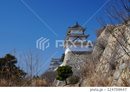 兵庫 明石 明石城の石垣と巽櫓・坤櫓（東方向から、晩春） 124709647