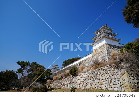 兵庫 明石 明石城の石垣と巽櫓・坤櫓(南東方向から、晩春) 兵庫 明石 明石城の石垣と巽櫓・坤櫓(南東方向から、晩春) 124709648