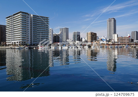 兵庫 明石 明石港（明石漁港）とビル群（中崎みなと公園付近）（晩春） 124709675