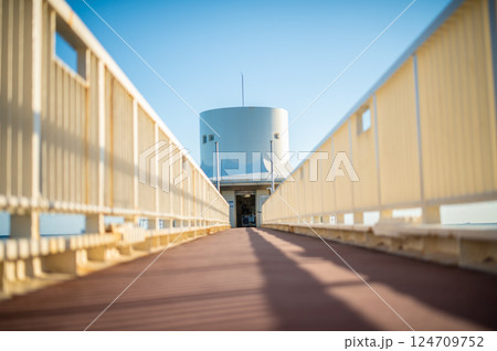 海へと続く展望台 海へと続く展望台 124709752