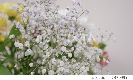 Delicate White Flowers Gracefully Displayed Against a Colorful Background For Visual Delight Delicate White Flowers Gracefully Displayed Against a Colorful Background For Visual Delight 124709952