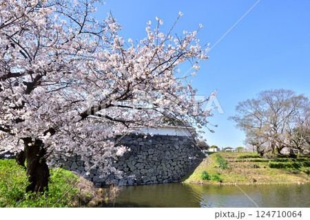 さくら咲く福岡城　下之橋御門　潮見櫓　舞鶴公園　 124710064