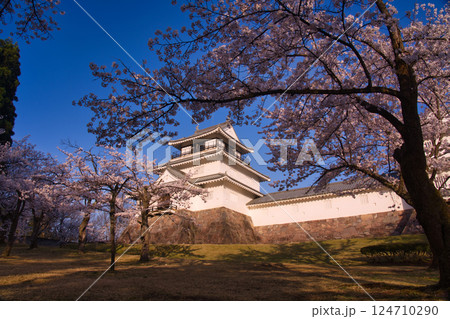 悠久山公園の桜 124710290