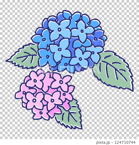 手繪鋼筆畫：繡球花 124710744