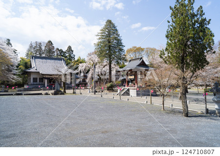秋葉神社(高尾山北尾根) 秋葉神社(高尾山北尾根) 124710807