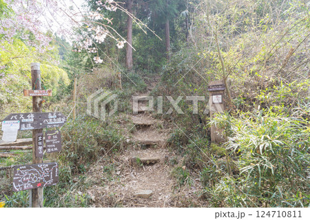 向山砦の登山口(高尾山北尾根) 向山砦の登山口(高尾山北尾根) 124710811