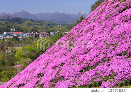 北海道滝上町、日本一の芝桜の群落が夢の世界へと誘う、芝ざくら滝上公園【5月】 北海道滝上町、日本一の芝桜の群落が夢の世界へと誘う、芝ざくら滝上公園【5月】 124710884
