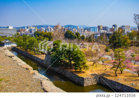 【京都風景】二条城　天守台から眺める静寂の梅林 124711016