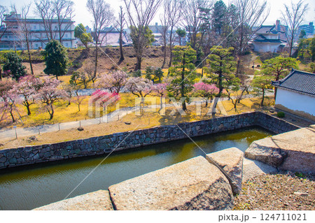 【京都風景】二条城　天守台から眺める静寂の梅林 124711021