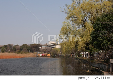 春の上野公園不忍池の風景 春の上野公園不忍池の風景 124711136