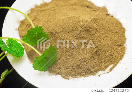 粉末の生薬 124711270