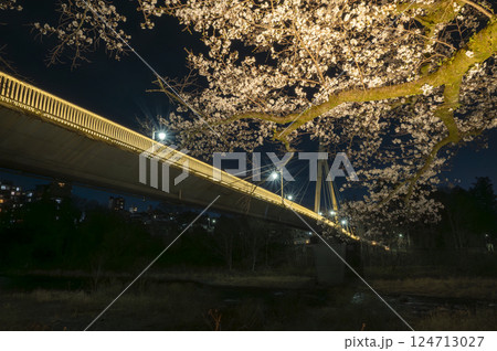 青梅 夜桜と橋 青梅 夜桜と橋 124713027