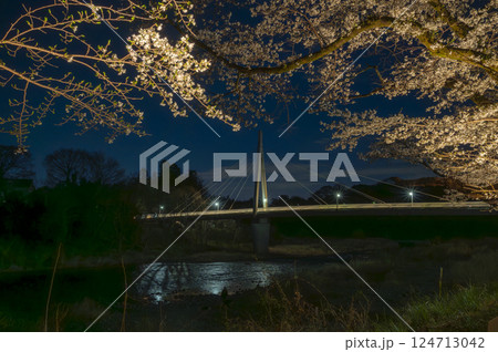 青梅 夜桜と橋 青梅 夜桜と橋 124713042