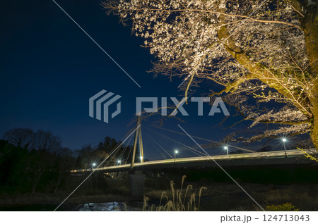 青梅 夜桜と橋 青梅 夜桜と橋 124713043
