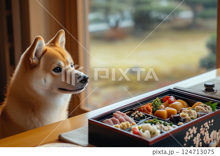 ペットと年中行事 | お正月（柴犬） 124713075