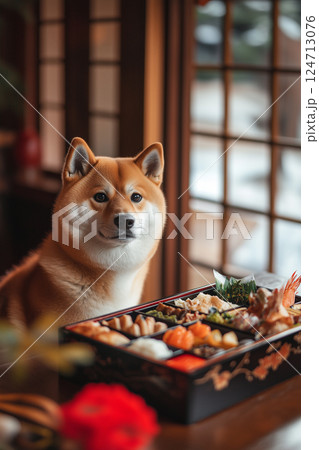 ペットと年中行事 | お正月（柴犬） 124713076