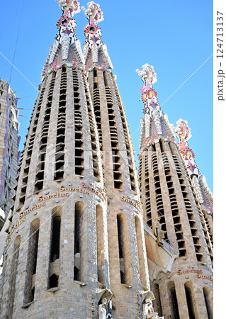 サグラダ・ファミリア大聖堂 124713137