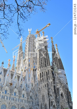 サグラダ・ファミリア大聖堂 124713143