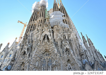 サグラダ・ファミリア大聖堂 124713147