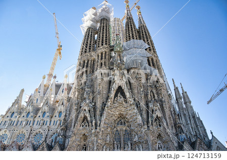 サグラダ・ファミリア大聖堂 124713159
