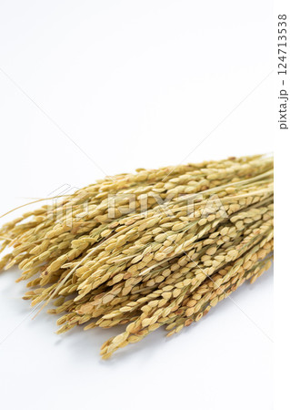 お米の稲穂 124713538