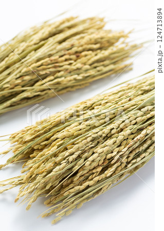 お米の稲穂 124713894