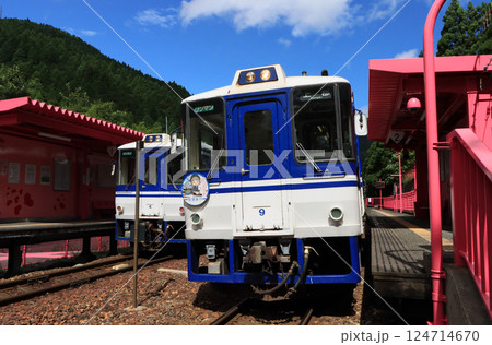 智頭急行　恋山形駅で交換する気動車 124714670