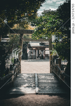 日本国旗と鳥居 124714793