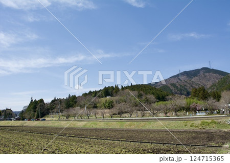 関ヶ原 Sekigahara / Japan 124715365