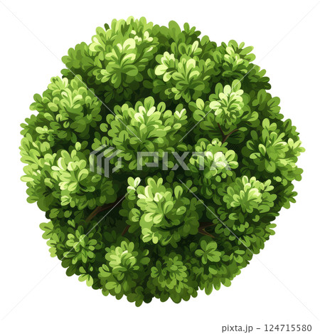 Illustration of a Bush 124715580