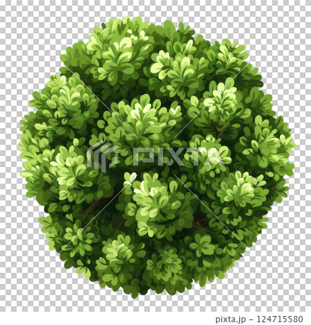 Illustration of a Bush 124715580