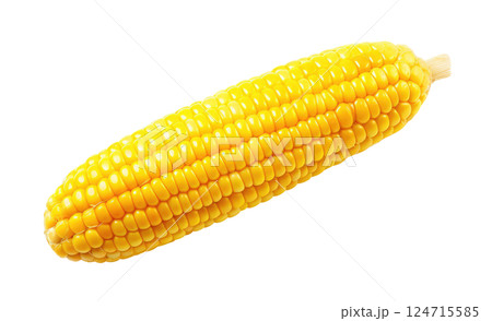 Corn Cob 124715585