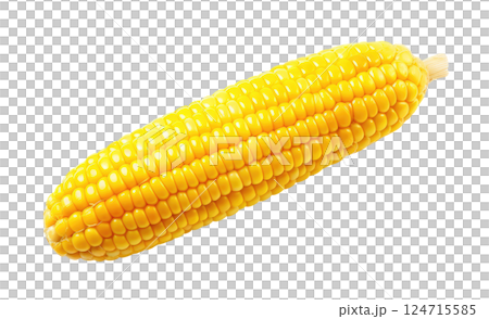 Corn Cob 124715585
