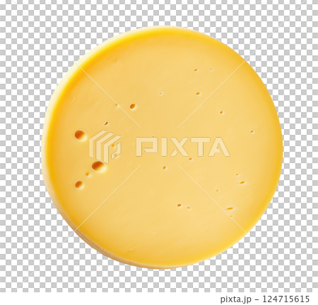 Round Hard Cheese 124715615