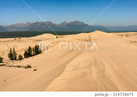 Desert surrounded by forest and mountains 124716075