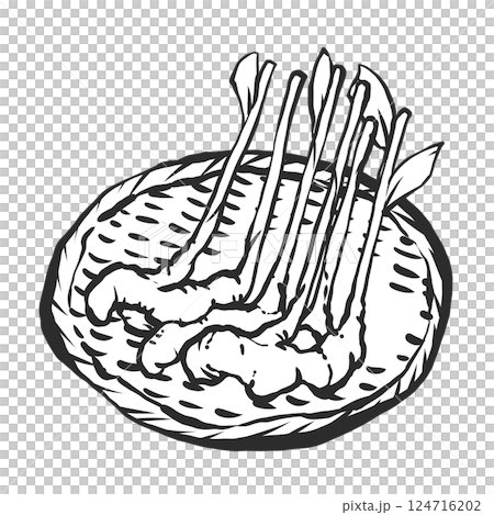 Hand-drawn illustration of fresh ginger 124716202