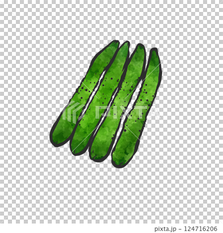 Hand-drawn brush-style illustration of a cucumber Hand-drawn brush-style illustration of a cucumber 124716206