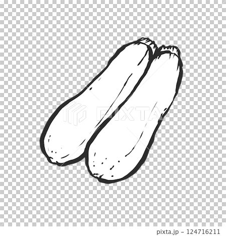 ズッキーニの手描き筆絵風イラスト ズッキーニの手描き筆絵風イラスト 124716211