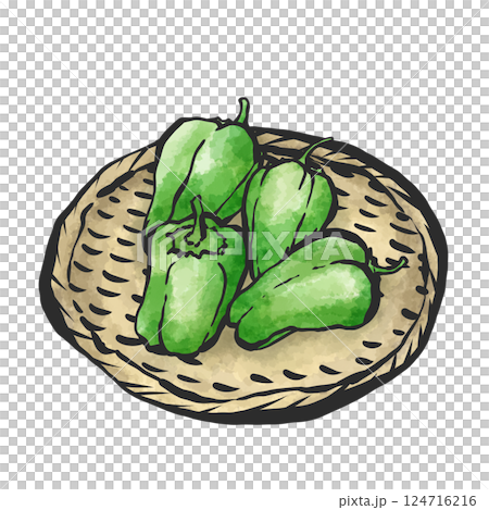 甜椒的手繪插圖 甜椒的手繪插圖 124716216