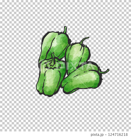 ピーマンの手描き筆絵風イラスト 124716218