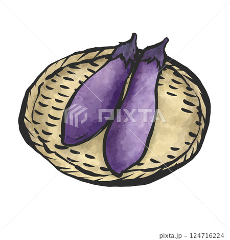 中長ナスの手描き筆絵風イラスト 124716224